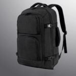 Dinictis Travel Laptop Backpack