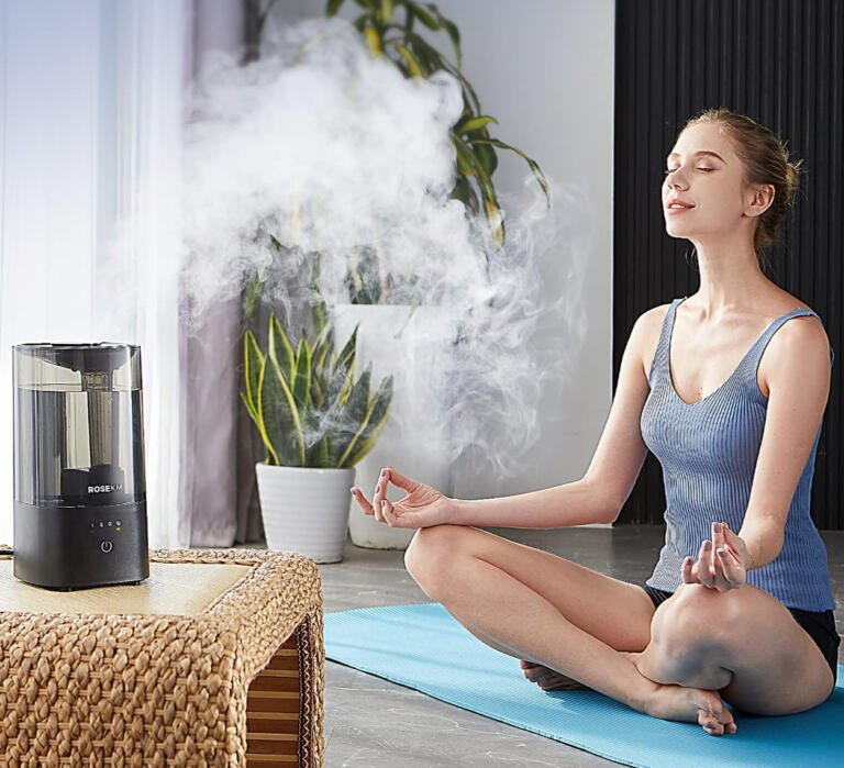 Top-Rated Mini Humidifier: Now Under $24 1